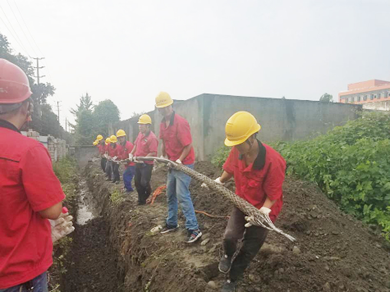 合縱醫藥總部研發生產基地供配電工程